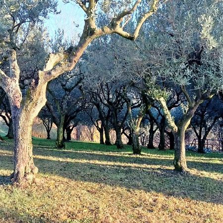 Il Giuggiolo Bed & Breakfast Conegliano Exterior photo