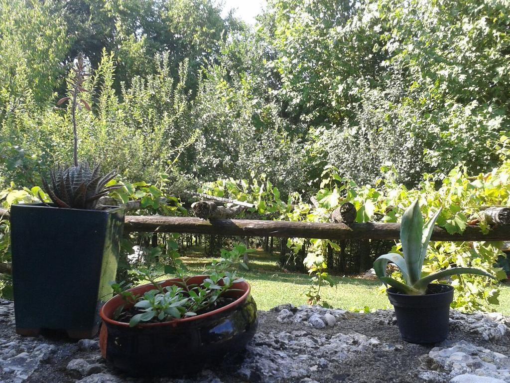 Il Giuggiolo Bed & Breakfast Conegliano Exterior photo