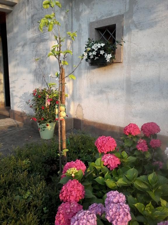 Il Giuggiolo Bed & Breakfast Conegliano Exterior photo