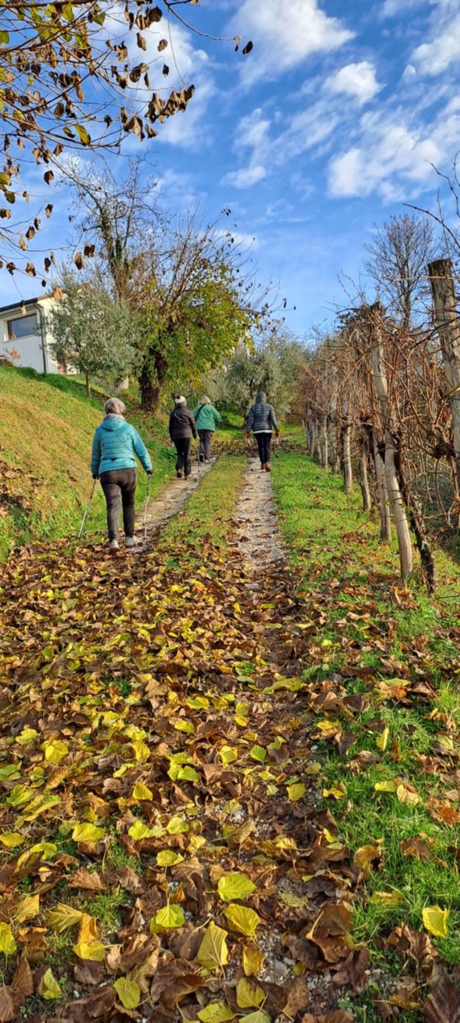 Il Giuggiolo Bed & Breakfast Conegliano Exterior photo