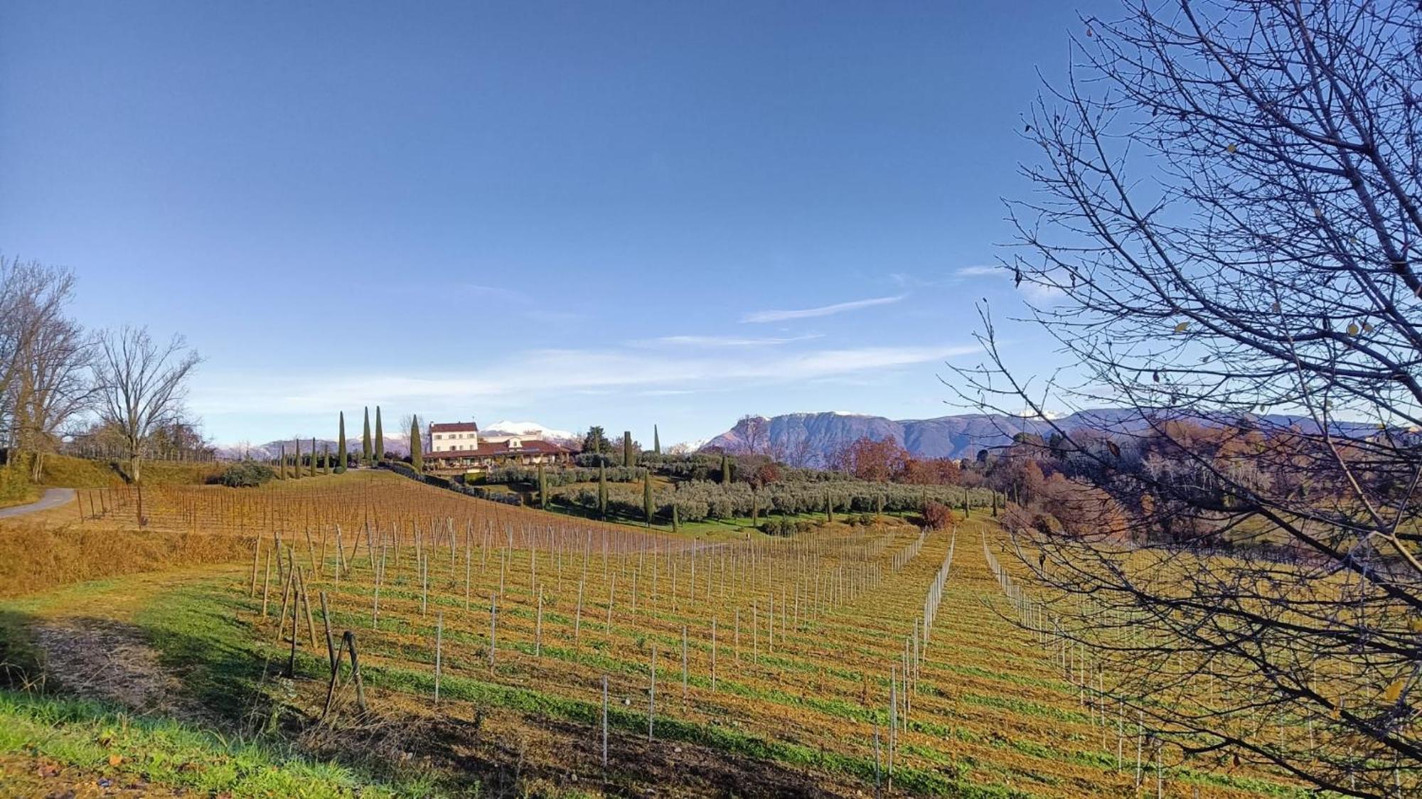 Il Giuggiolo Bed & Breakfast Conegliano Exterior photo