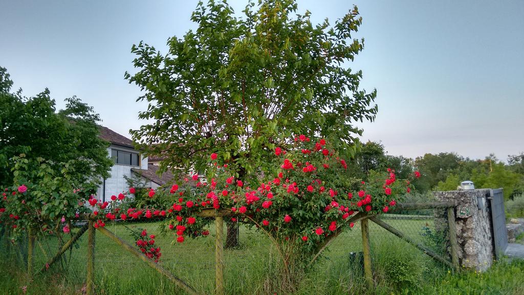 Il Giuggiolo Bed & Breakfast Conegliano Exterior photo
