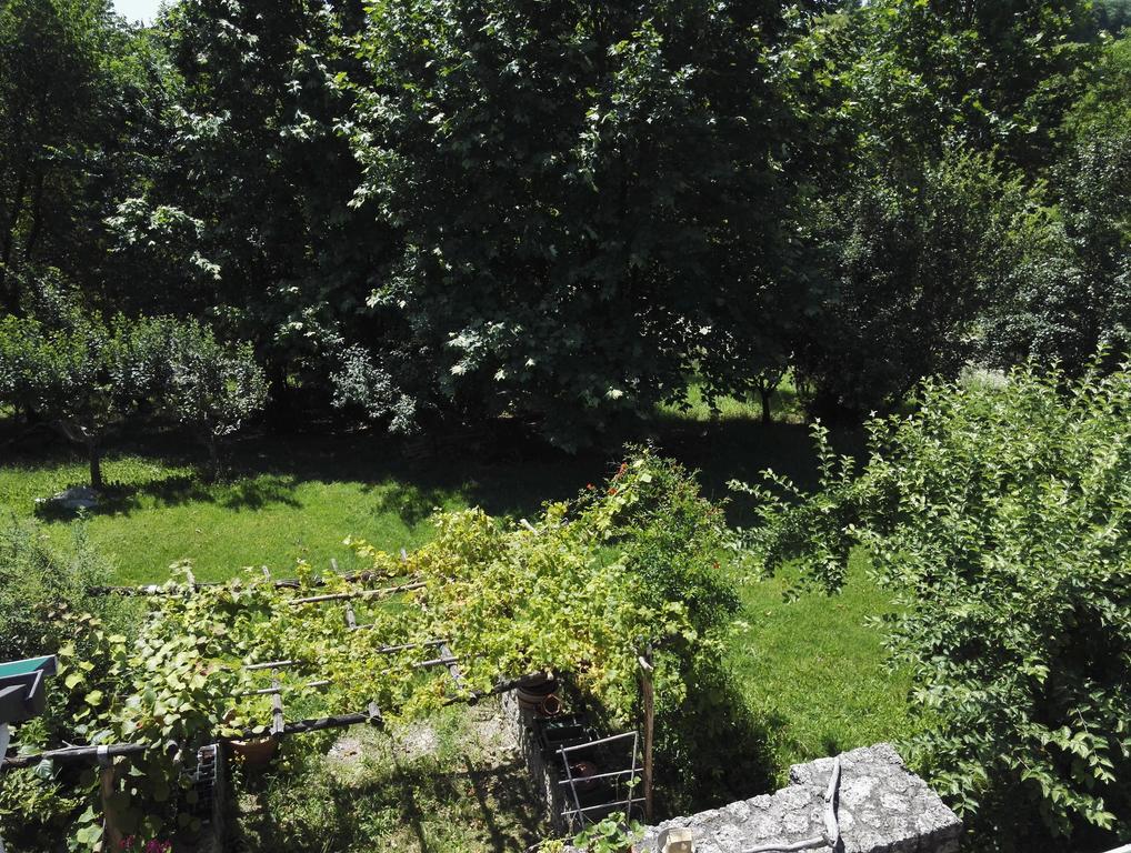 Il Giuggiolo Bed & Breakfast Conegliano Exterior photo