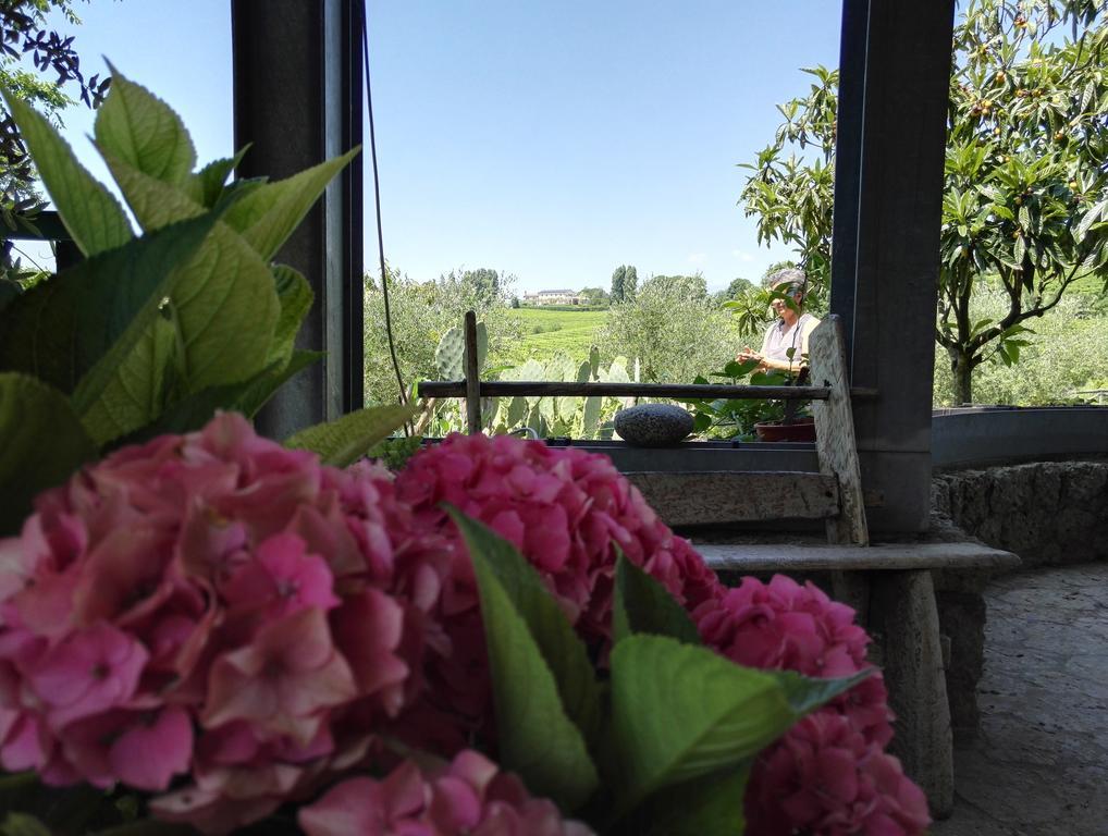 Il Giuggiolo Bed & Breakfast Conegliano Exterior photo